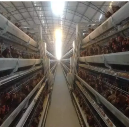 速壯丁實驗報告【有圖有真相】